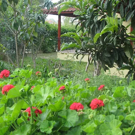 Casa de hóspedes Alize