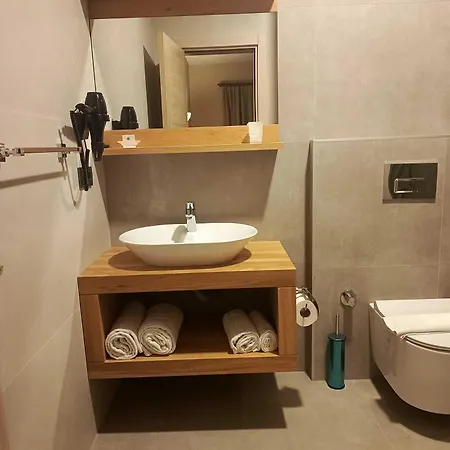阿利兹酒店 戈西克