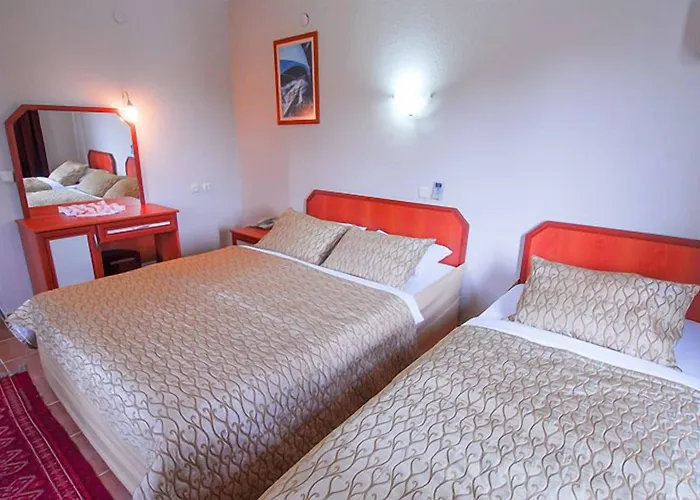 Guest house Alize 3*