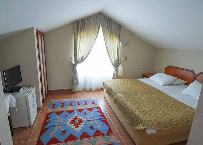Alize Guest house 3*