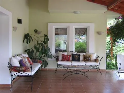 Alize Gocek (Fethiye)